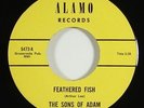 Sons Of Adam 