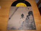 pearl jam vinyl 45 pic. sl.   merkinball      I got Id./long road