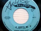JOHNNY HALO with doo-wop group 45 IT HURTS ME b/w BABY FACE teen rockabilly D145
