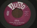 Tommy Roe & Satins 45 Shelia - Pretty Girl JUDD 1022 7