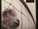 Vs. [Remastered] by Pearl Jam (Vinyl, May-2011, 2 Discs, Epic) - Free Shipping