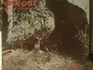 Don Jones Bigfoot Rare Private Press Country Incredibly Strange Sasquatch