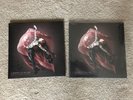 SEALED & SIGNED Lindsey Stirling Brave Enough Vinyl Signed Autograph