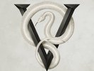BULLET FOR MY VALENTINE - VENOM (DELUXE EDITION) (BLACK VINYL) 2 VINYL LP NEW