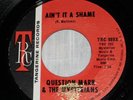 Question Mark & The Mysterions Ain't It A Shame Turn Around Baby TRC 45 Garage