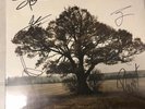 Sam Roberts Band Signed Mint Vinyl Trews Tragically Hip