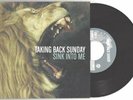 Taking Back Sunday 
