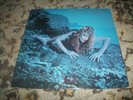 ROXY MUSIC-----SIREN  ---VINYL ALBUM