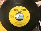 RARE ORIG NORTHERN SOUL 45 - ANN DANIELS ON WHITE CLIFFS RECORDS LOVE BUG VG