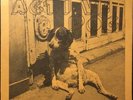 ACTIVE DOG Rat Race 1979 Vancouver KBD Punk 45 Modernettes Power Pop 7” Vinyl LP