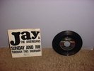 SUNDAY AND ME  BY JAY AND THE AMERICANS 45 W PICTURE SLEEVE