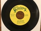 Royal Jesters Use Your Head b/w My Love My Love NM Rare Texas Sweet Soul 