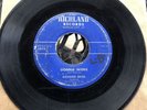 Louisiana Cajun Rockabilly 45 RICHARD BROS. “ Gonna Work “ on Richland
