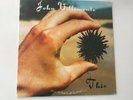 John Villemonte THIS Rare Private Psych Folk LP SOME RECORDS