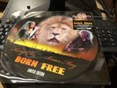 Queen Brian May Born Free Rare Numbered 12”picture Disc Number 717 Of 1000
