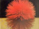 Yutaka Yokokura Love Light NEAR MINT ALFA Vinyl LP