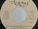JAMES (JD) WILKERSON, GOTTA LIVE OUR OWN LOVE STORY, RARE MODERN SOUL 45