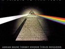 VARIOUS: RETURN TO THE DARK SIDE OF THE MOON (LP vinyl *BRAND NEW*)