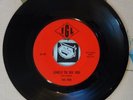 The Ride 45 Lovely to See You / Sunshine 1969 IGL Iowa Pop Psych VG++