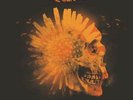 BARNS COURTNEY The Attractions of Youth 12