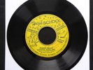 WINSTON SCOTLAND Power Skank MAX BROWN HIGH SCHOOL Jamaica 7” 45 VINYL REGGAE