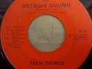THE WANTED-TEEN WORLD / HERE TO STAY--DETROIT SOUND--222--DETROIT GARAGE-2 SIDER