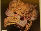 BLACK CAT BONES - BARBED WIRE SANDWICH - Vinyle / LP - P.I.P RECORD- PIP-6809-US