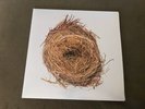 Wilco A GHOST IS BORN 180g Gatefold NONESUCH RECORDS  RHINO VINYL 2 LP