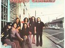 Lynyrd Skynyrd, (Pronounced 'Leh-'nerd 'Skin-'nerd)  Vinyl Record *USED*