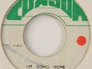 The Wailers ?– I'm Going Home / It Hurts To Be Alone 45t Ska Rocksteady 7'