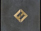 FOO FIGHTERS CONCRETE AND GOLD 2 X 12