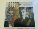 STING. The Dream Of The Blue Turtles.12