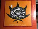 * BRANT BJORK AND THE LOW DESERT PUNK BAND - Black Flower Power LP GREEN VINYL