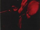 Lyres She Pays The Rent Live NEAR MINT Imposible Records Vinyl LP