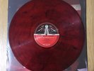 White Stripes - Live At The Gold Dollar III - 12