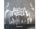 WHITE NOISE DIFFERENT 1981 LP RARE PRIVATE ARIZONA HEAVY METAL AOR HARD ROCK