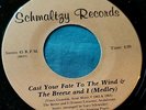 GARY SCHNEIDER Cast Your Fate To The Wind/That's My Desire 7