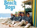 The Beach Boys - Surfin Vinyl LP Wagram NEU