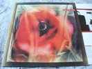 Love and Money Dogs in the Traffic Hard-to-Find 1991 U.K. Fontana L.P. EX/EX+