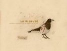 LA DISPUTE: SOMEWHERE AT THE BOTTOM OF THE RIVER BETWEEN  (LP vinyl *BRAND NEW*)