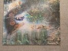 Pink floyd a saucerful of secrets vinyl l.p.. Columbia stereo svx 6358.