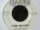garage rock mod 45 THE MISTY BLUES i feel no pain STATURE listen