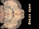 EELA CRAIG - Eela Craig - LP 1971 Krautrock Garden Of Delights