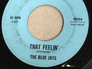 Northern Soul 45 The Blue Jays on Jay 4815 That Feelin’ /Point Of View SVG