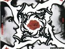 Red Hot Chili Peppers - Blood Sugar Sex Magik (U.s. Version) - LP Vinyl - New