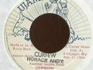 HORACE ANDY JA 1984 Reggae 7