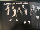 Flamin Groovies Lp Now Exc  w sleeve