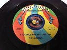 Malibus A Chance For You and Me Strong Love Soul Funk 45 Vinyl Piranha Records