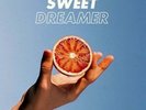 WILL JOSEPH COOK Sweet Dreamer LP Vinyl NEW 2017