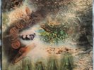 pink  floyd ( a saucerful of secrets )  columbia records  1968 SCTX 340.770 BIEM